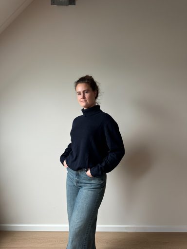 Kasjmier trui Kasjmier coltrui Uniqlo